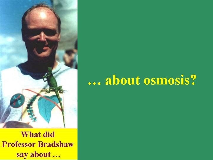 … about osmosis? 