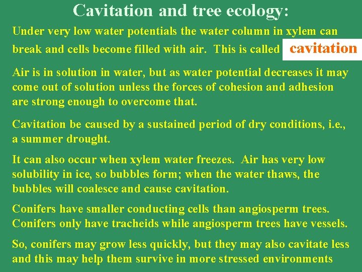 Cavitation and tree ecology: Under very low water potentials the water column in xylem