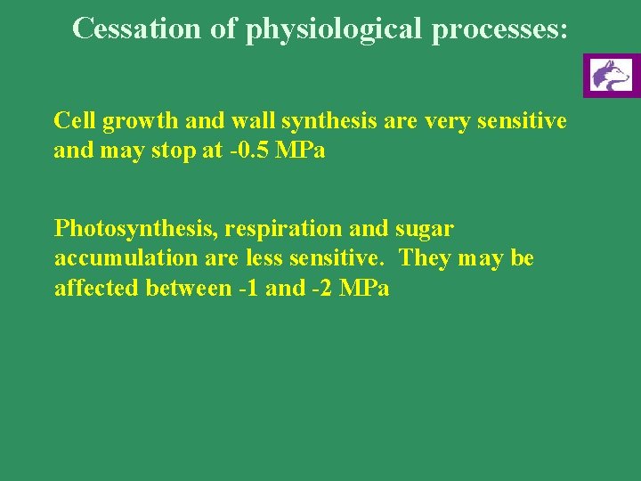 Cessation of physiological processes: Cell growth and wall synthesis are very sensitive and may