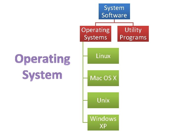 System Software Operating Systems Operating System Linux Mac OS X Unix Windows XP Utility