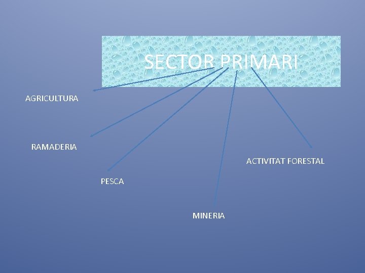 SECTOR PRIMARI AGRICULTURA RAMADERIA ACTIVITAT FORESTAL PESCA MINERIA 