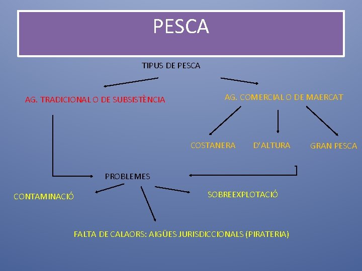 PESCA TIPUS DE PESCA AG. TRADICIONAL O DE SUBSISTÈNCIA AG. COMERCIAL O DE MAERCAT