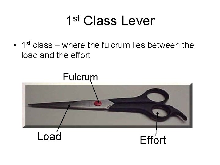1 st Class Lever • 1 st class – where the fulcrum lies between