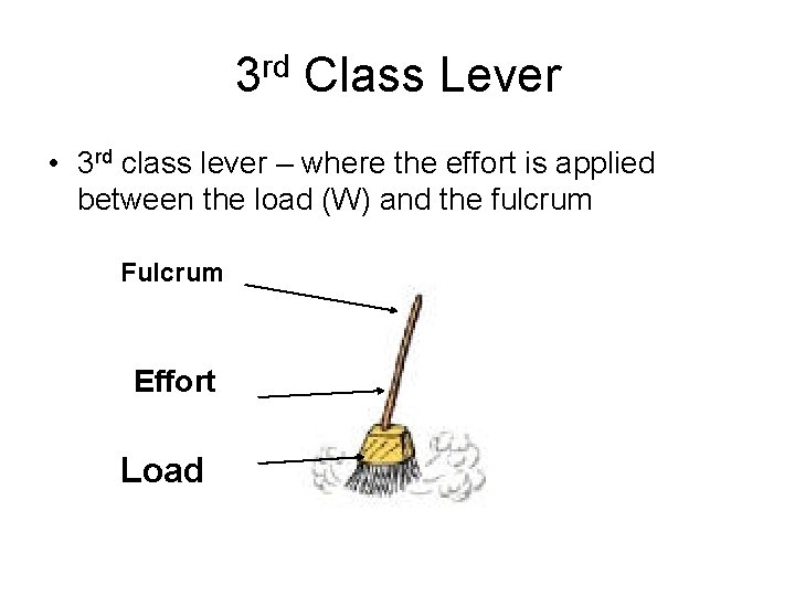 3 rd Class Lever • 3 rd class lever – where the effort is