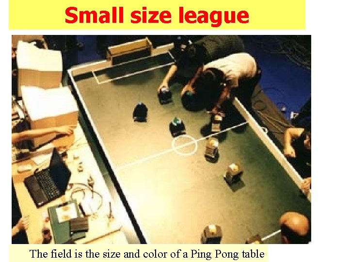 Small size league The field is the size and color of a Ping Pong