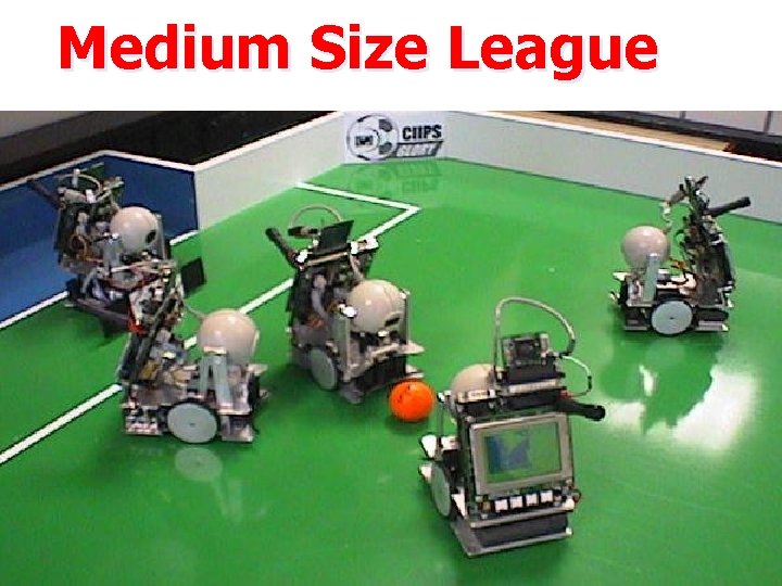 Medium Size League 