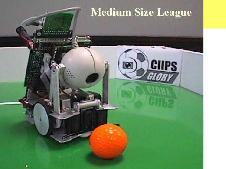 Medium Size League 