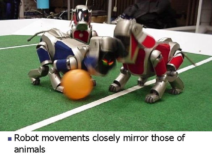 n Robot movements closely mirror those of animals 