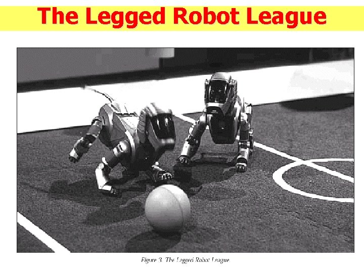 The Legged Robot League 