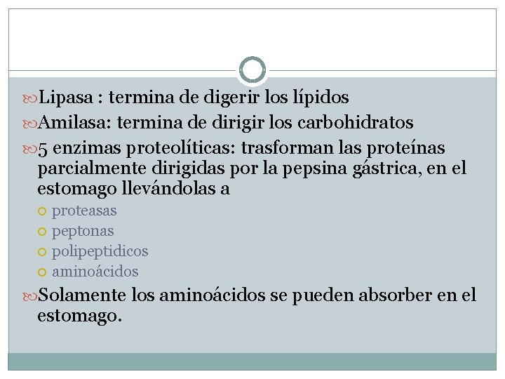  Lipasa : termina de digerir los lípidos Amilasa: termina de dirigir los carbohidratos