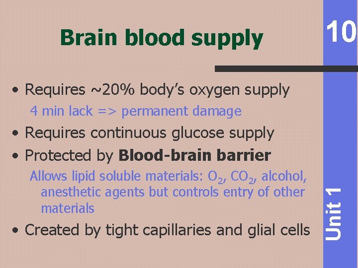 Brain blood supply 10 • Requires ~20% body’s oxygen supply 4 min lack =>