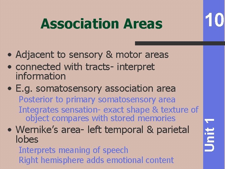 Association Areas 10 Posterior to primary somatosensory area Integrates sensation- exact shape & texture
