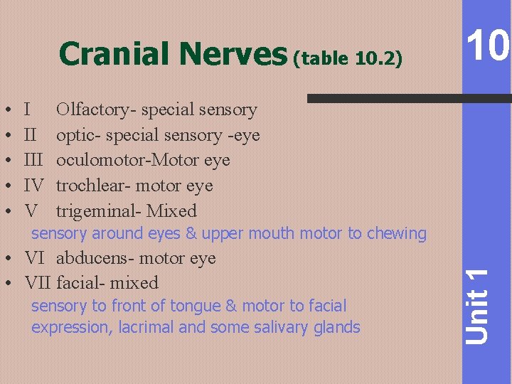 Cranial Nerves (table 10. 2) • • • I II IV V 10 Olfactory-