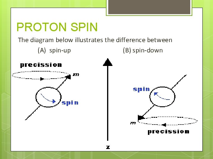 PROTON SPIN The diagram below illustrates the difference between (A) spin-up (B) spin-down 