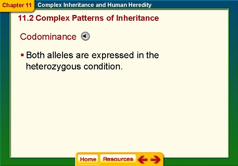 Chapter 11 Complex Inheritance and Human Heredity 11. 2 Complex Patterns of Inheritance Codominance Chapter 11 Complex Inheritance and Human Heredity 11. 2 Complex Patterns of Inheritance Codominance