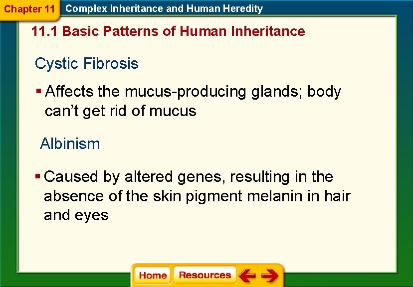 Chapter 11 Complex Inheritance and Human Heredity 11. 1 Basic Patterns of Human Inheritance Chapter 11 Complex Inheritance and Human Heredity 11. 1 Basic Patterns of Human Inheritance