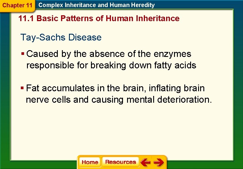 Chapter 11 Complex Inheritance and Human Heredity 11. 1 Basic Patterns of Human Inheritance Chapter 11 Complex Inheritance and Human Heredity 11. 1 Basic Patterns of Human Inheritance