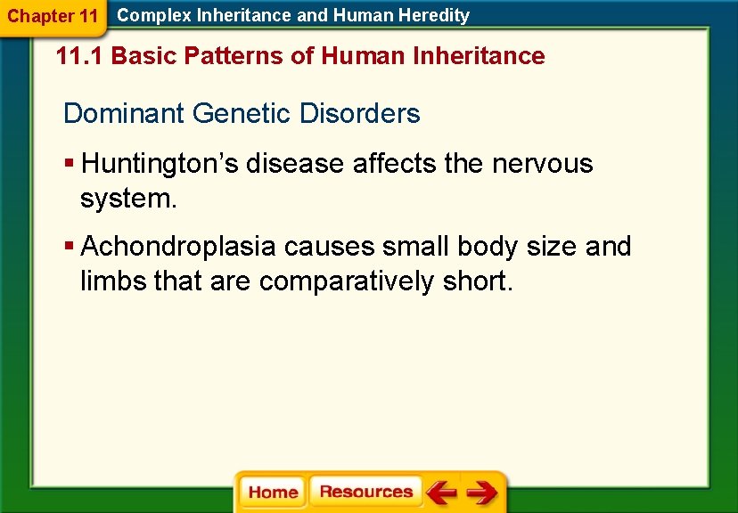 Chapter 11 Complex Inheritance and Human Heredity 11. 1 Basic Patterns of Human Inheritance Chapter 11 Complex Inheritance and Human Heredity 11. 1 Basic Patterns of Human Inheritance