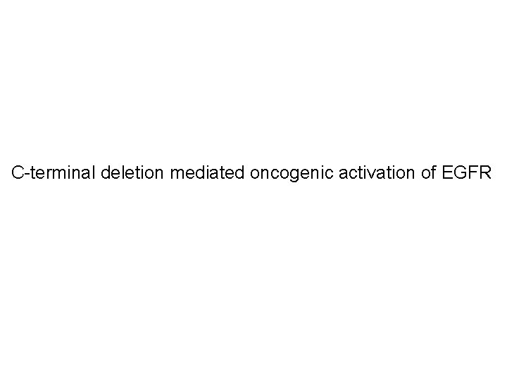 C-terminal deletion mediated oncogenic activation of EGFR 