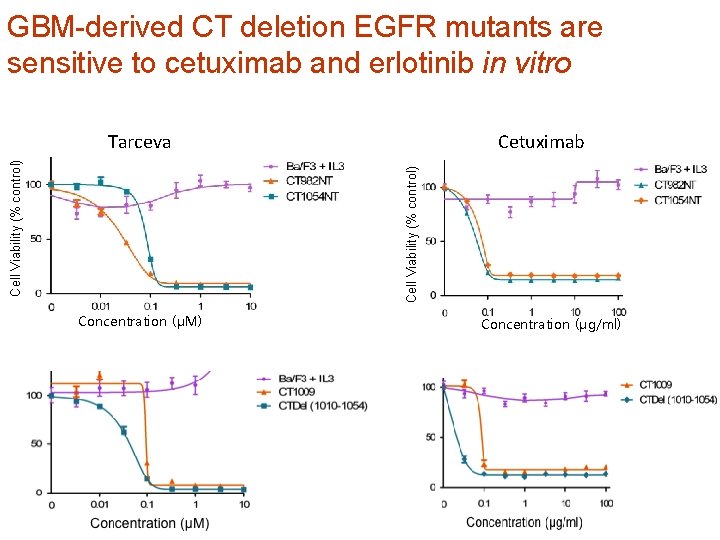 GBM-derived CT deletion EGFR mutants are sensitive to cetuximab and erlotinib in vitro Cetuximab