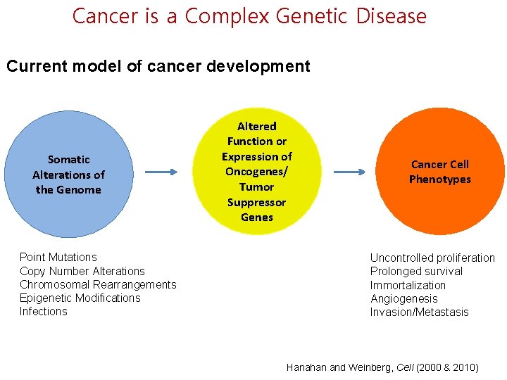 Cancer is a Complex Genetic Disease Current model of cancer development Somatic Alterations of
