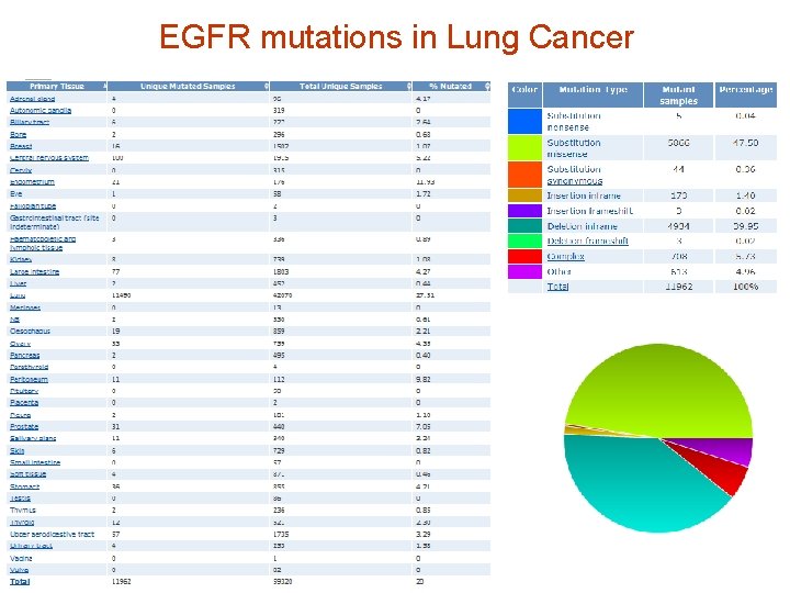 EGFR mutations in Lung Cancer 