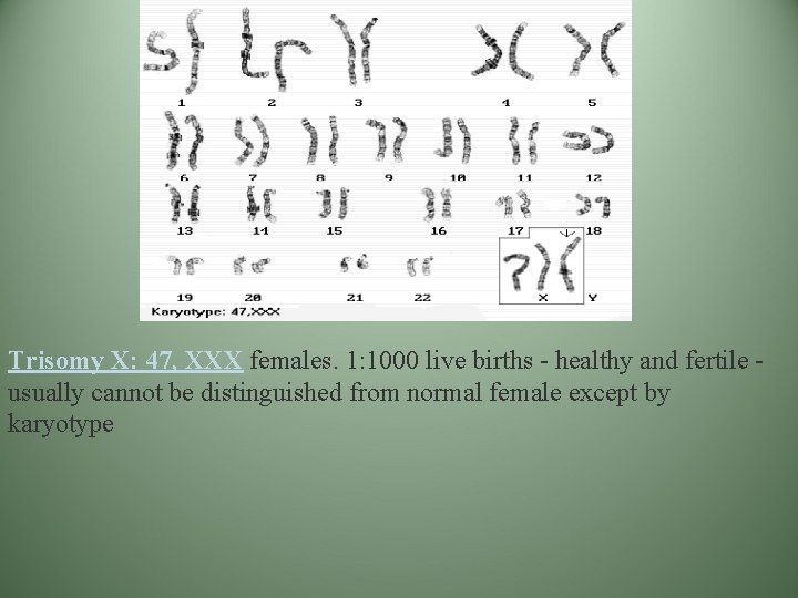 Trisomy X: 47, XXX females. 1: 1000 live births - healthy and fertile usually Trisomy X: 47, XXX females. 1: 1000 live births - healthy and fertile usually