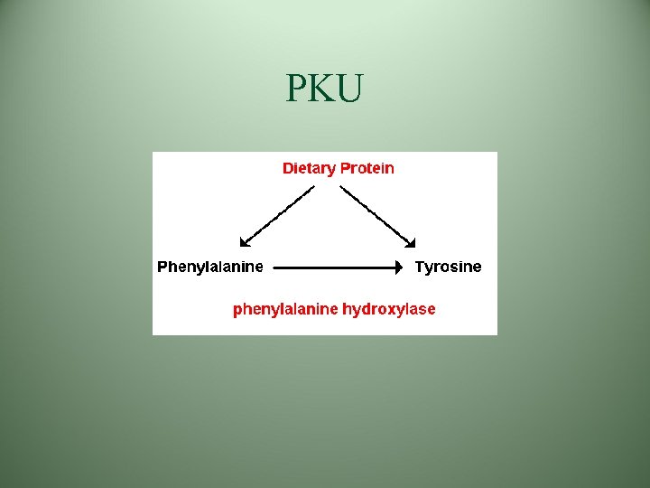 PKU PKU