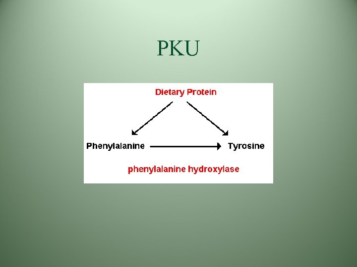 PKU 