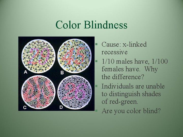 Color Blindness § Cause: x-linked recessive § 1/10 males have, 1/100 females have. Why Color Blindness § Cause: x-linked recessive § 1/10 males have, 1/100 females have. Why