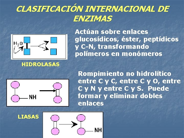 CLASIFICACIÓN INTERNACIONAL DE ENZIMAS Actúan sobre enlaces glucosídicos, éster, peptídicos y C-N, transformando polímeros
