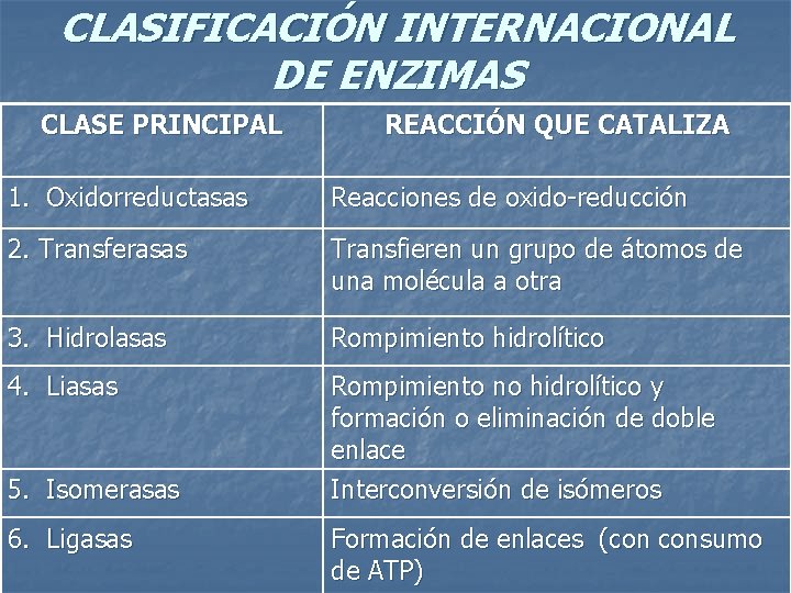CLASIFICACIÓN INTERNACIONAL DE ENZIMAS CLASE PRINCIPAL REACCIÓN QUE CATALIZA 1. Oxidorreductasas Reacciones de oxido-reducción