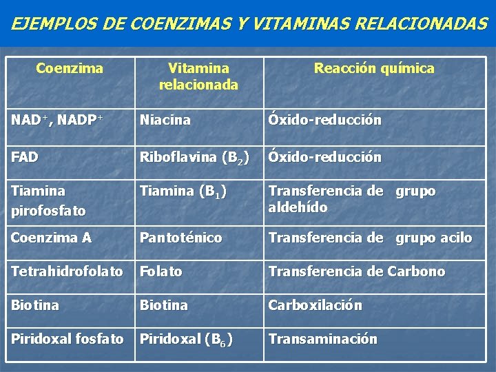 EJEMPLOS DE COENZIMAS Y VITAMINAS RELACIONADAS Coenzima Vitamina relacionada Reacción química NAD+, NADP+ Niacina