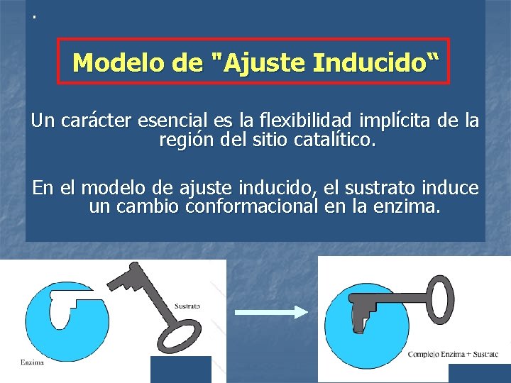 . Modelo de "Ajuste Inducido“ Un carácter esencial es la flexibilidad implícita de la