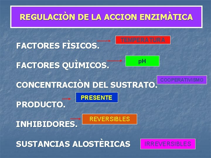REGULACIÒN DE LA ACCION ENZIMÀTICA FACTORES FÌSICOS. TEMPERATURA FACTORES QUÌMICOS. p. H CONCENTRACIÒN DEL