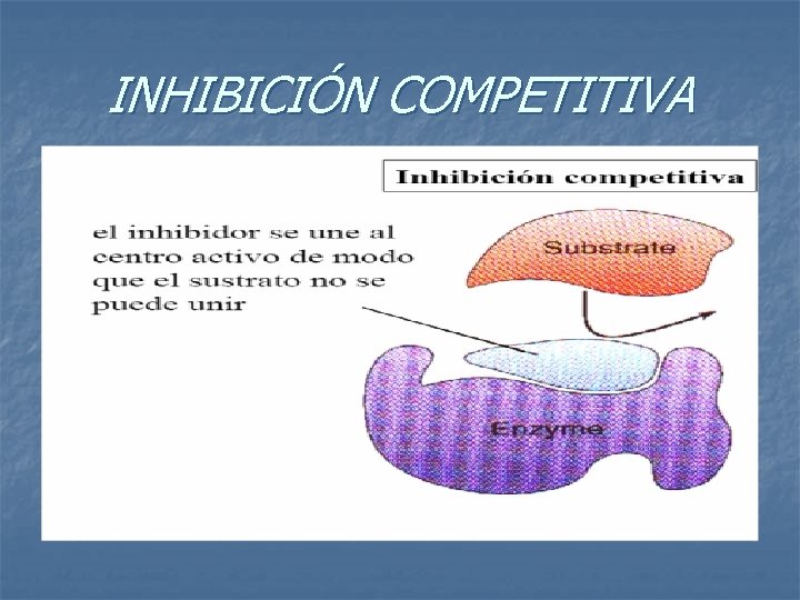 INHIBICIÓN COMPETITIVA 