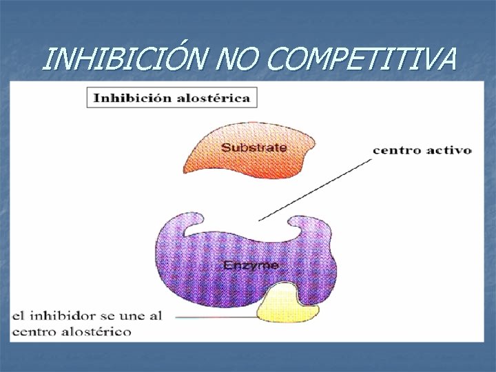 INHIBICIÓN NO COMPETITIVA 