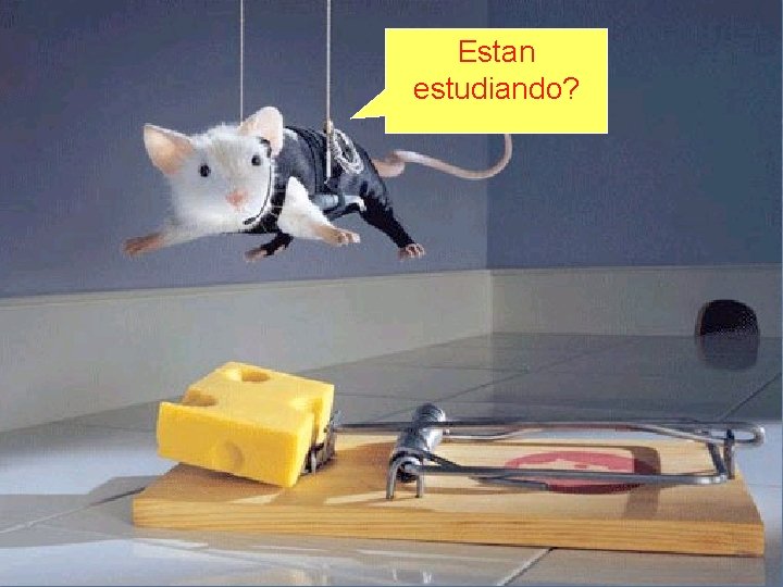 Estan estudiando? 
