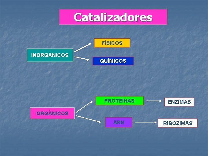 Catalizadores FÌSICOS INORGÀNICOS QUÌMICOS PROTEÌNAS ENZIMAS ORGÀNICOS ARN RIBOZIMAS 
