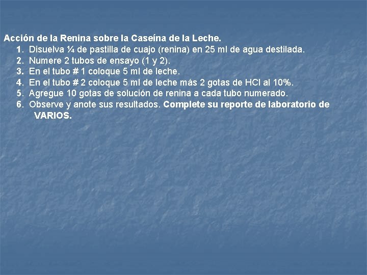 Acción de la Renina sobre la Caseína de la Leche. 1. Disuelva ¼ de