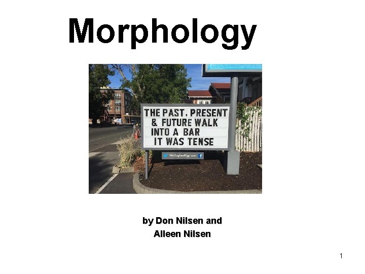 Morphology by Don Nilsen and Alleen Nilsen 1 