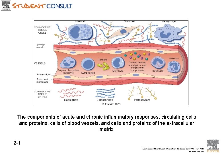 The components of acute and chronic inflammatory responses: circulating cells and proteins, cells of