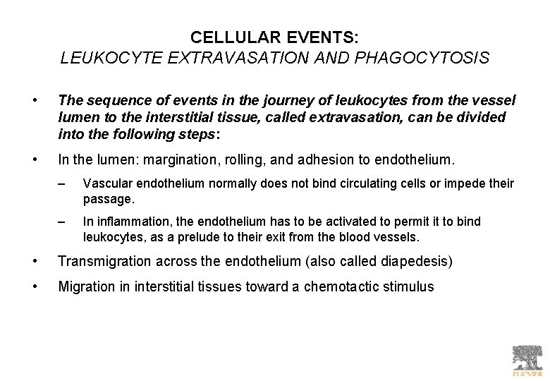 CELLULAR EVENTS: LEUKOCYTE EXTRAVASATION AND PHAGOCYTOSIS • The sequence of events in the journey