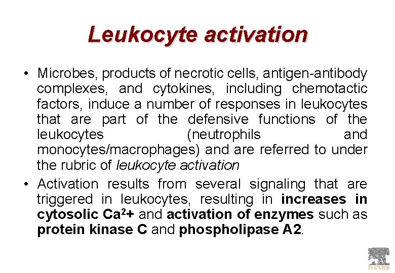 Leukocyte activation • Microbes, products of necrotic cells, antigen-antibody complexes, and cytokines, including chemotactic