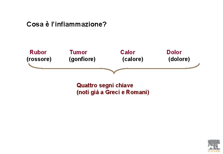 Cosa è l’infiammazione? Rubor (rossore) Tumor (gonfiore) Calor (calore) Quattro segni chiave (noti già