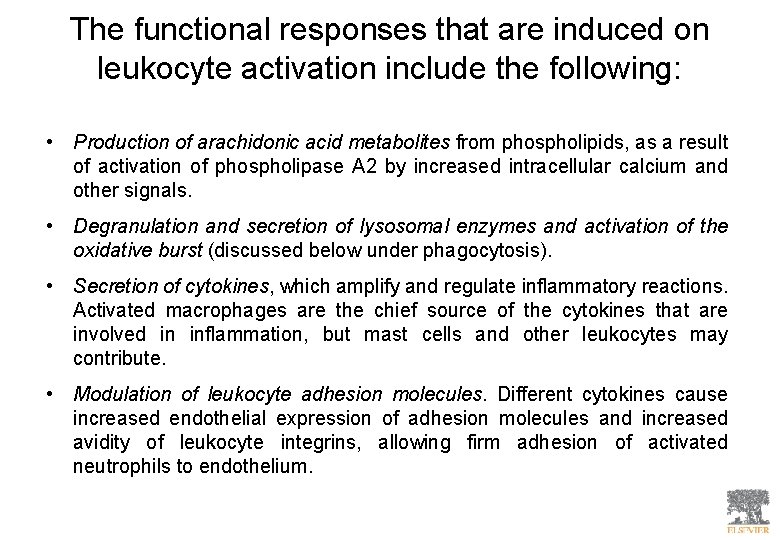 The functional responses that are induced on leukocyte activation include the following: • Production