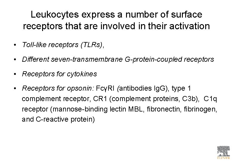 Leukocytes express a number of surface receptors that are involved in their activation •