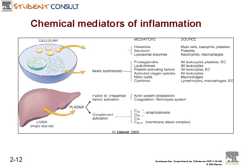 Chemical mediators of inflammation 2 -12 Downloaded from: Student. Consult (on 15 November 2009