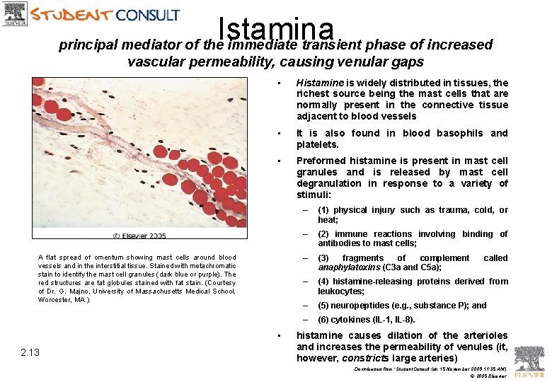 Istamina principal mediator of the immediate transient phase of increased vascular permeability, causing venular