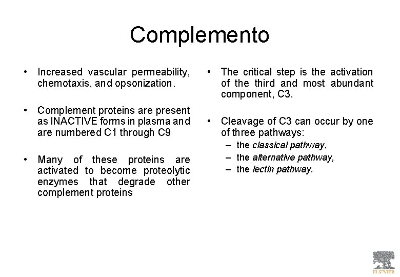 Complemento • Increased vascular permeability, chemotaxis, and opsonization. • Complement proteins are present as